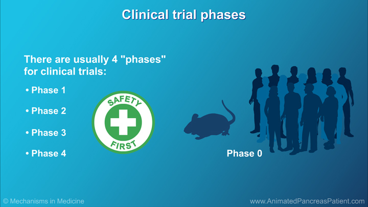 Pancreatic Cancer Understanding Clinical Trials